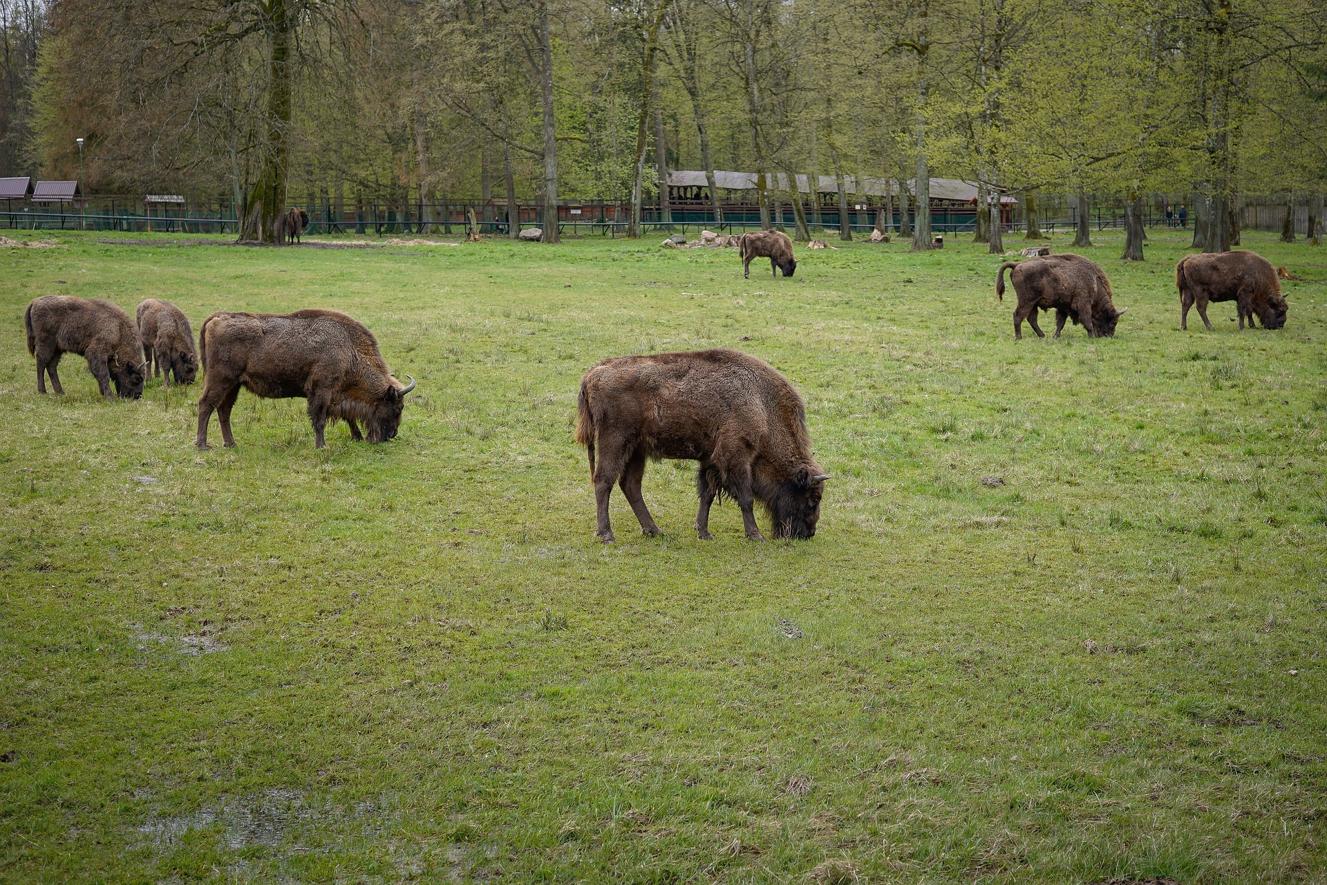 Podlasie 3 dni (od 699 zł/os.) 