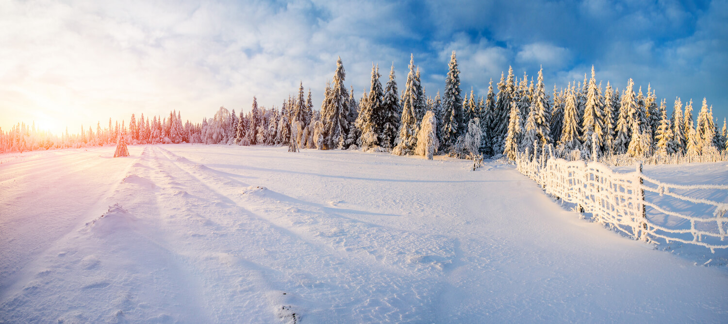 Winter camps