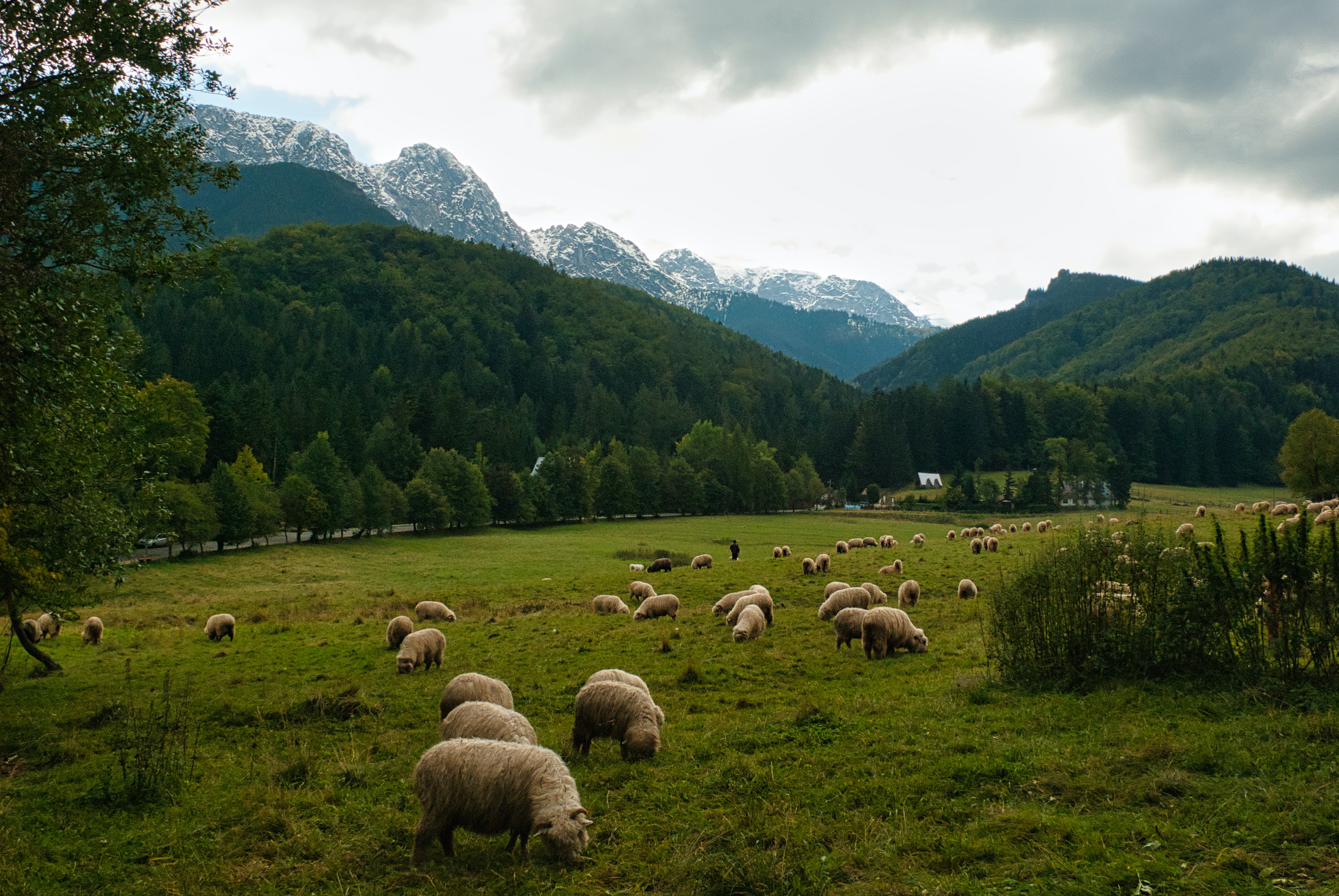 Zakopane 1 dzień (od 159 zł/os.)